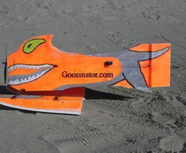 The Goosinator on snow