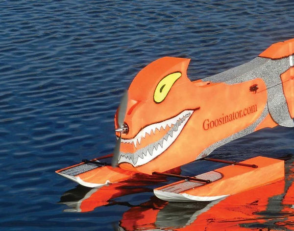 The Goosinator on the water