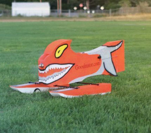 Goose repellent in Denver, CO