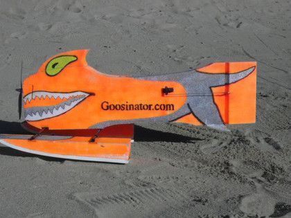 The Goosinator running over wet sand