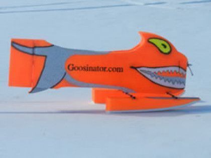 The Goosinator out on pale winter ice