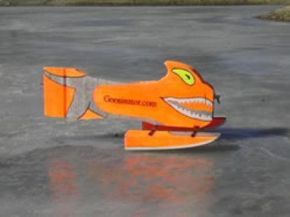 The Goosinator crossing a frozen pond