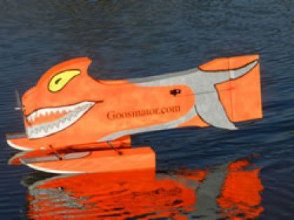 The Goosinator on the water