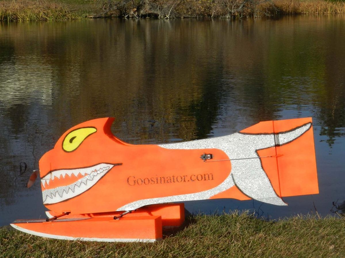 The Goosinator on a pond in late afternoon light